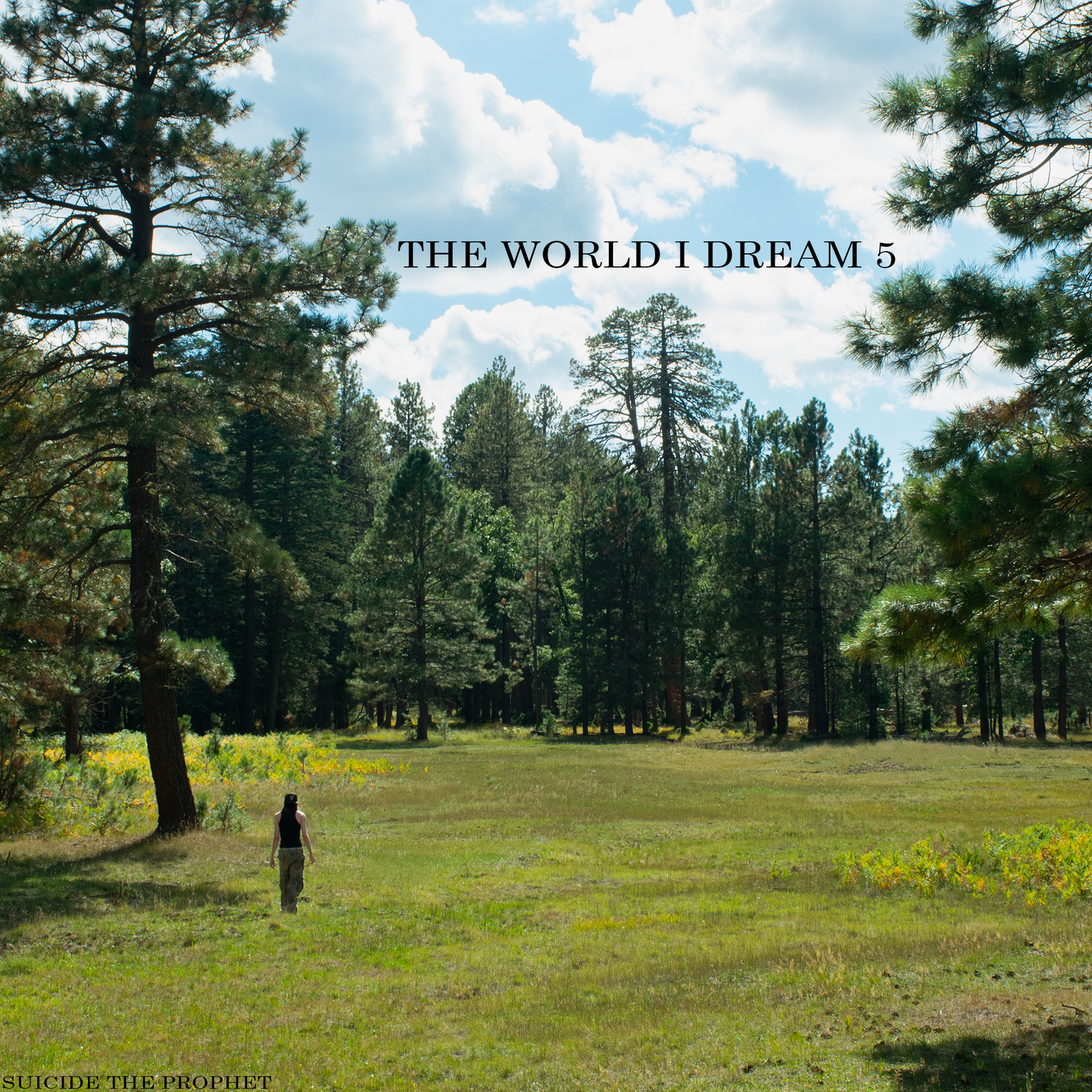 Suicide The Prophet — artwork